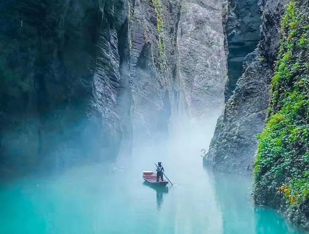 动物帮帮忙保卫家园