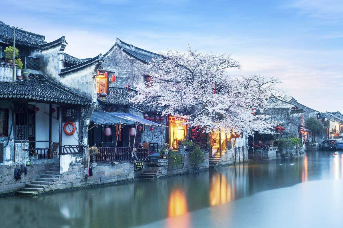 月光影视